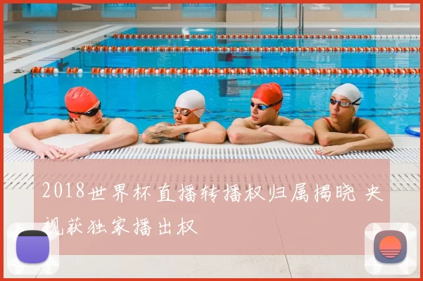 2018世界杯直播转播权归属揭晓 央视获独家播出权