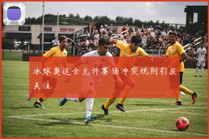 冰球奥运会允许赛场冲突规则引发关注