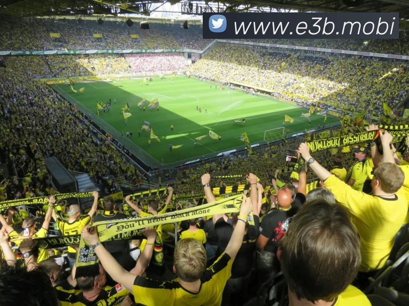 开云手机站官方版网站登录入口 - 开云(中国)品牌故事